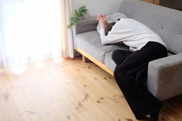 �������ޏ���